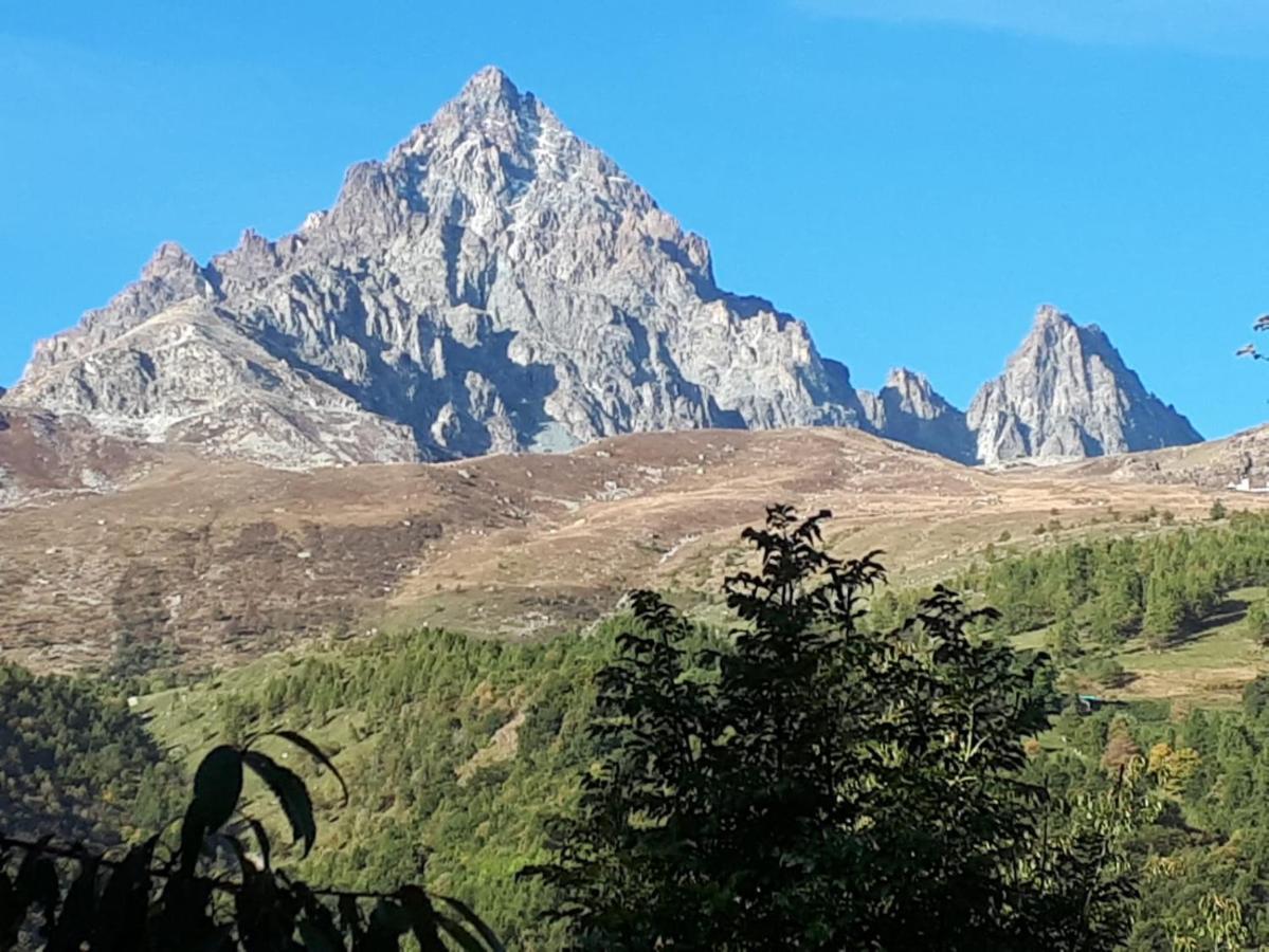 La Finestra Sul Monviso Daire Crissolo Dış mekan fotoğraf